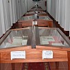 Foto: Particolare della Biblioteca - Biblioteca di Agnone - Convento di San Francesco (Agnone) - 12